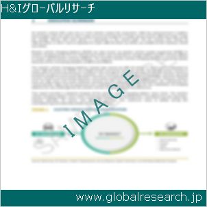 グローバルリサーチ調査レポートのイメージ